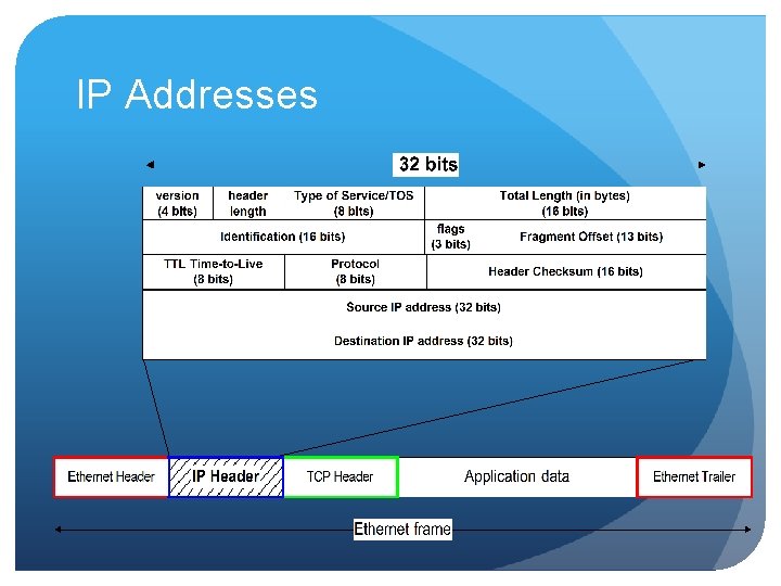 IP Addresses IP Addresses