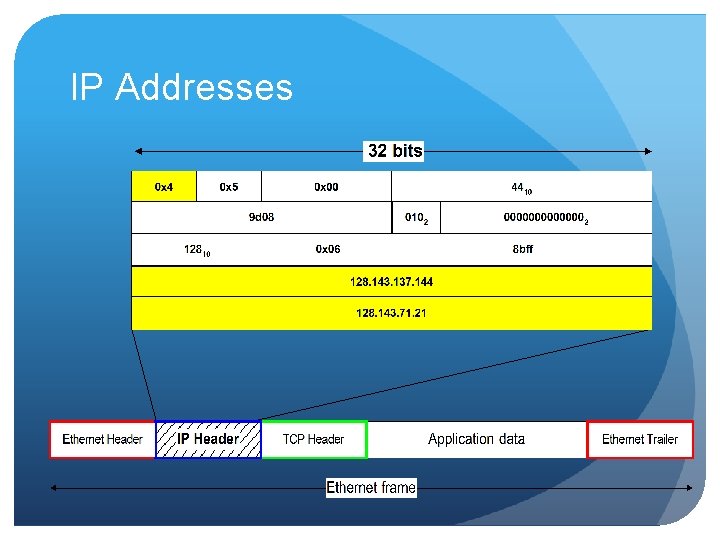 IP Addresses IP Addresses