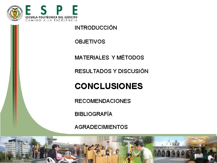 INTRODUCCIÓN OBJETIVOS MATERIALES Y MÉTODOS RESULTADOS Y DISCUSIÓN CONCLUSIONES RECOMENDACIONES BIBLIOGRAFÍA AGRADECIMIENTOS 