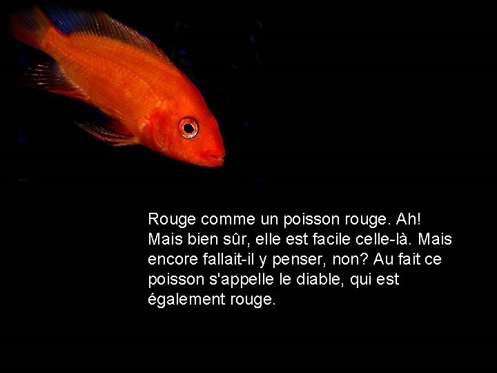 Rouge comme un poisson rouge. Ah! Mais bien sûr, elle est facile celle-là. Mais