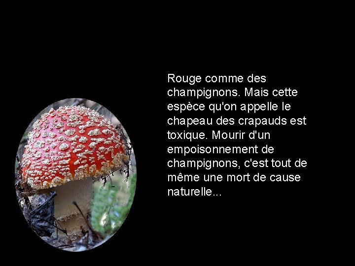 Rouge comme des champignons. Mais cette espèce qu'on appelle le chapeau des crapauds est