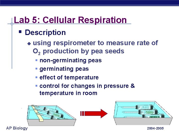 Lab 5: Cellular Respiration § Description u using respirometer to measure rate of O