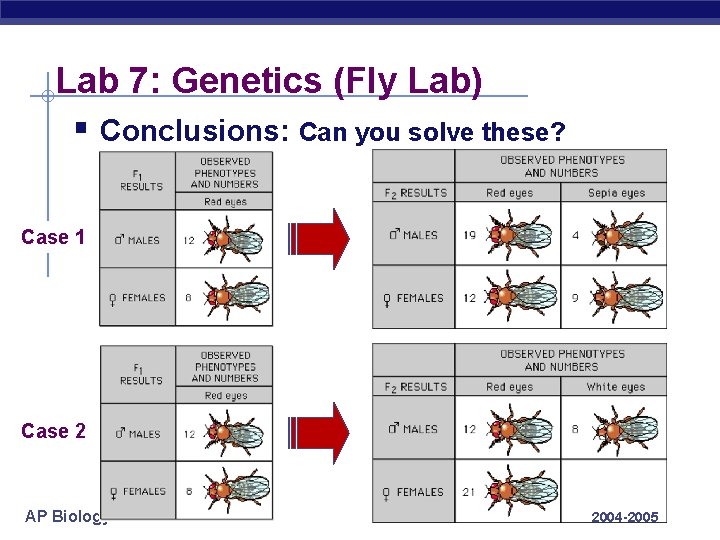 Lab 7: Genetics (Fly Lab) § Conclusions: Can you solve these? Case 1 Case