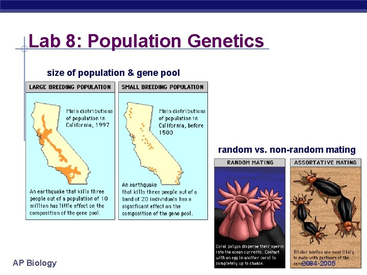 Lab 8: Population Genetics size of population & gene pool random vs. non-random mating