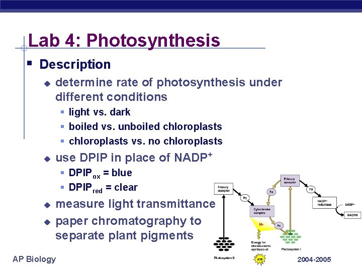Lab 4: Photosynthesis § Description u determine rate of photosynthesis under different conditions §