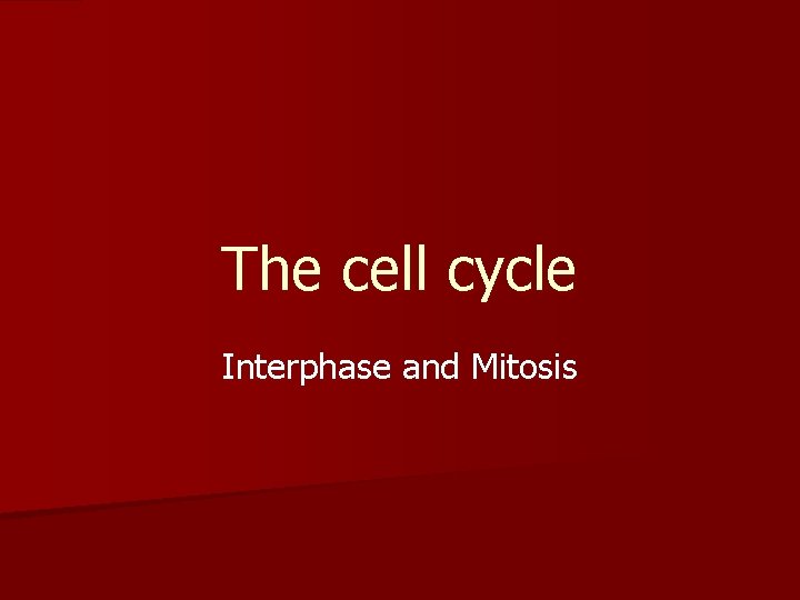 The cell cycle Interphase and Mitosis 
