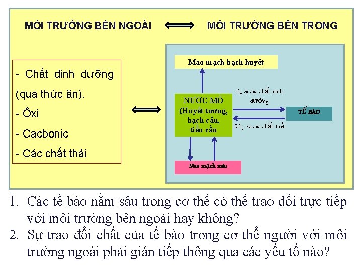 MÔI TRƯỜNG BÊN NGOÀI MÔI TRƯỜNG BÊN TRONG Mao mạch bạch huyết - Chất