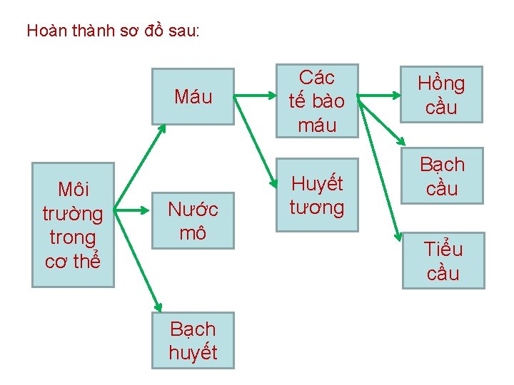 Hoàn thành sơ đồ sau: Máu Môi trường trong cơ thể Nước mô Bạch
