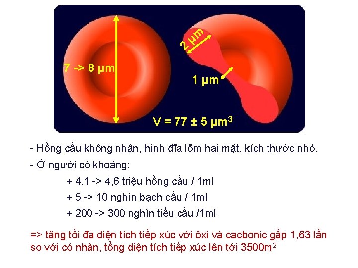 2 7 -> 8 µm µm 1 µm V = 77 ± 5 µm