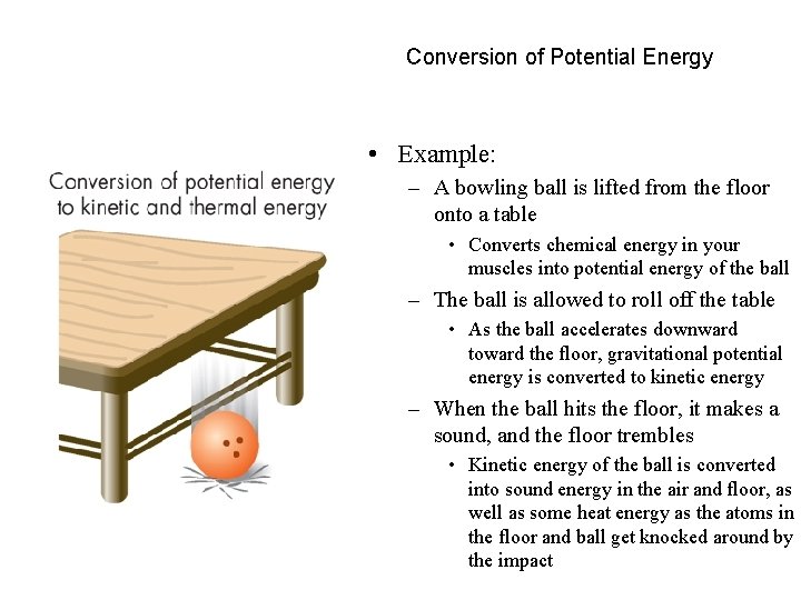 Conversion of Potential Energy • Example: – A bowling ball is lifted from the