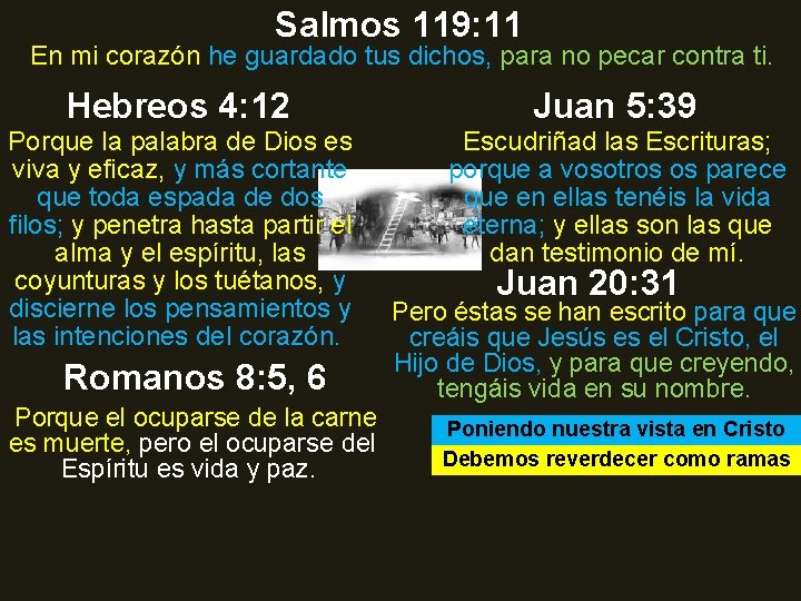 Salmos 119: 11 En mi corazón he guardado tus dichos, para no pecar contra