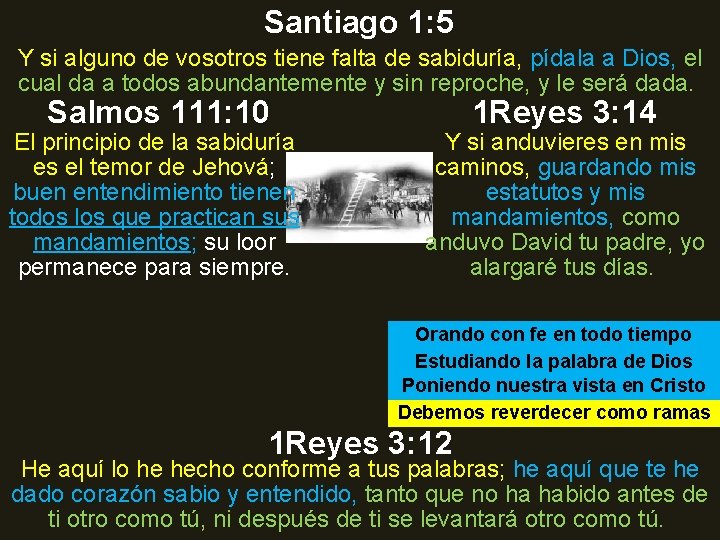 Santiago 1: 5 Y si alguno de vosotros tiene falta de sabiduría, pídala a