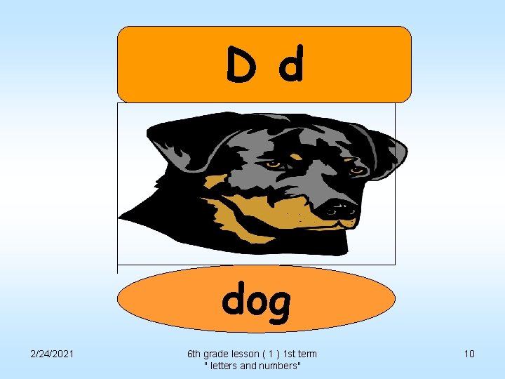 D d dog 2/24/2021 6 th grade lesson ( 1 ) 1 st term