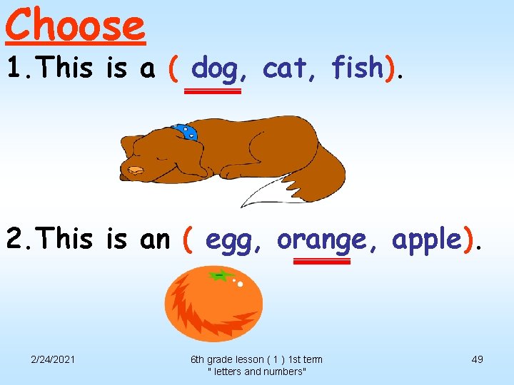 Choose 1. This is a ( dog, cat, fish). 2. This is an (