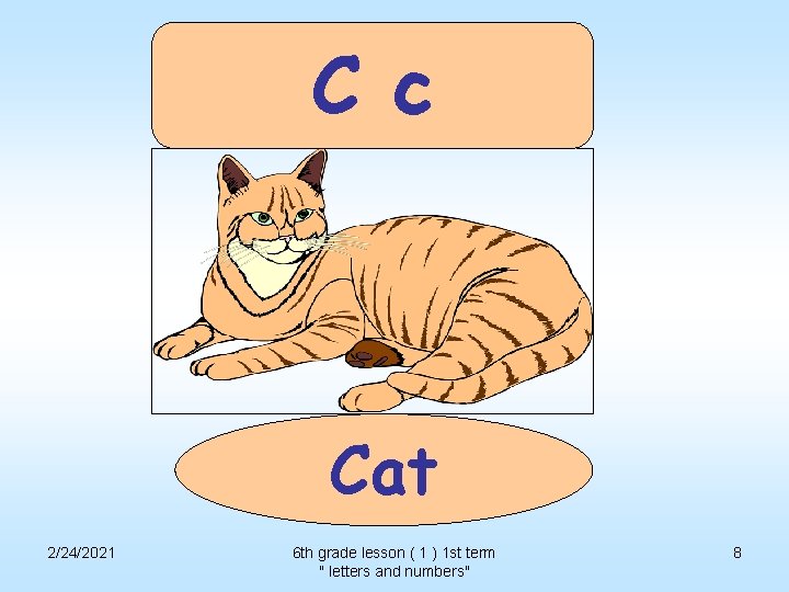 C c Cat 2/24/2021 6 th grade lesson ( 1 ) 1 st term