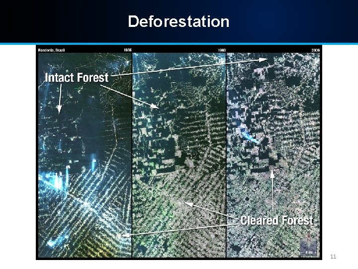 Deforestation 11 