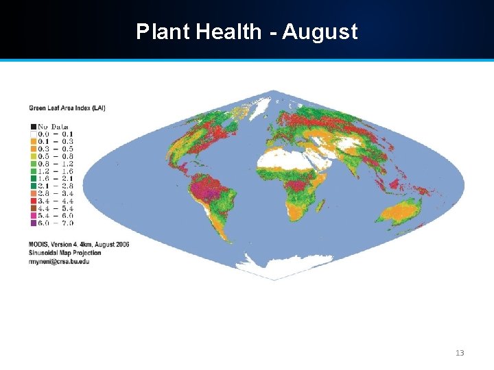 Plant Health - August 13 