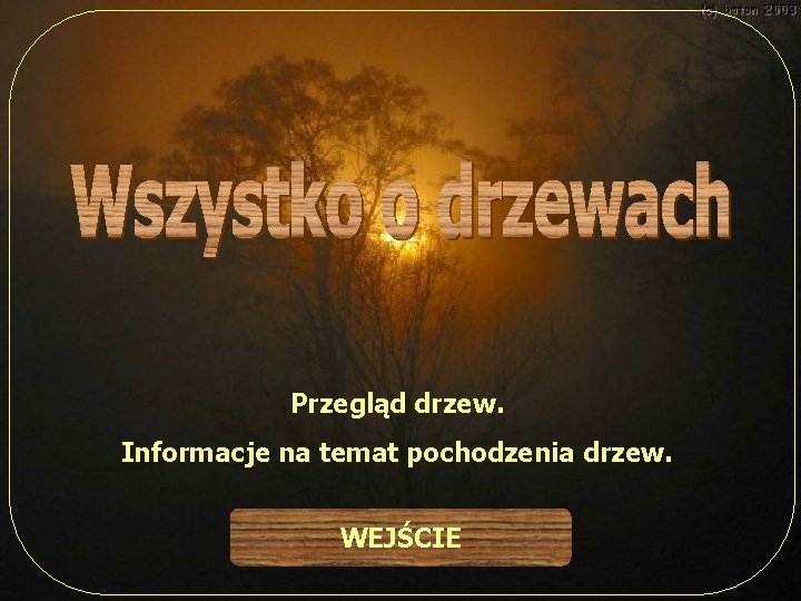 Przegląd drzew. Informacje na temat pochodzenia drzew. WEJŚCIE 