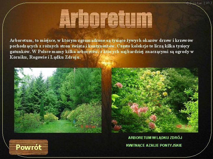 Arboretum, to miejsce, w którym zgromadzone są tysiące żywych okazów drzew i krzewów pochodzących