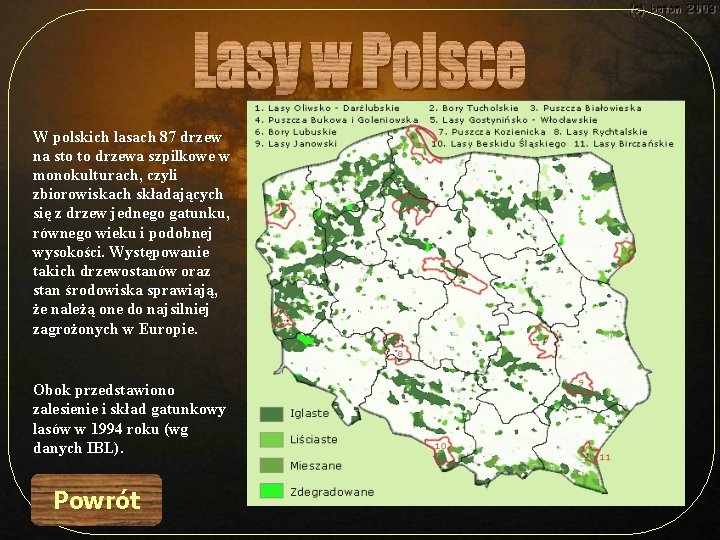 W polskich lasach 87 drzew na sto to drzewa szpilkowe w monokulturach, czyli zbiorowiskach