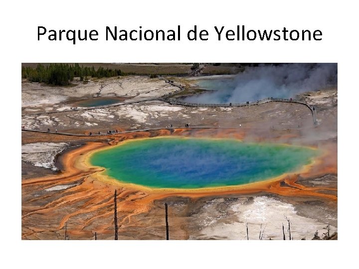 Parque Nacional de Yellowstone 