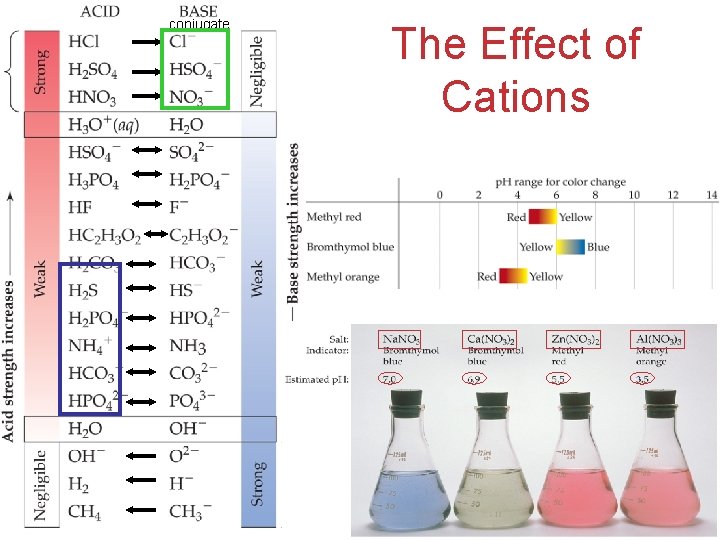 conjugate The Effect of Cations Acids and Bases 