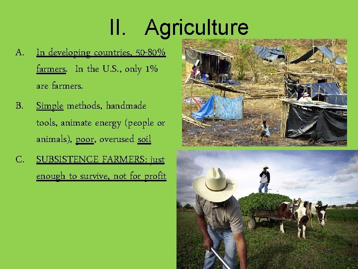 II. Agriculture A. In developing countries, 50 -80% farmers. In the U. S. ,