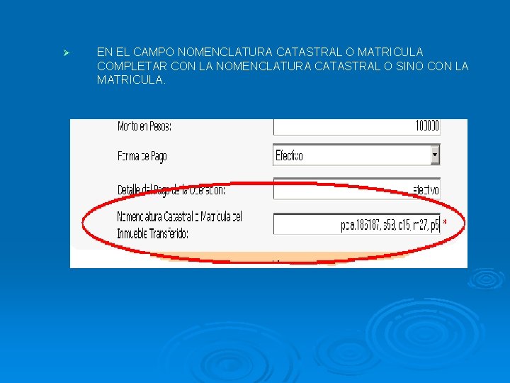 Ø EN EL CAMPO NOMENCLATURA CATASTRAL O MATRICULA COMPLETAR CON LA NOMENCLATURA CATASTRAL O