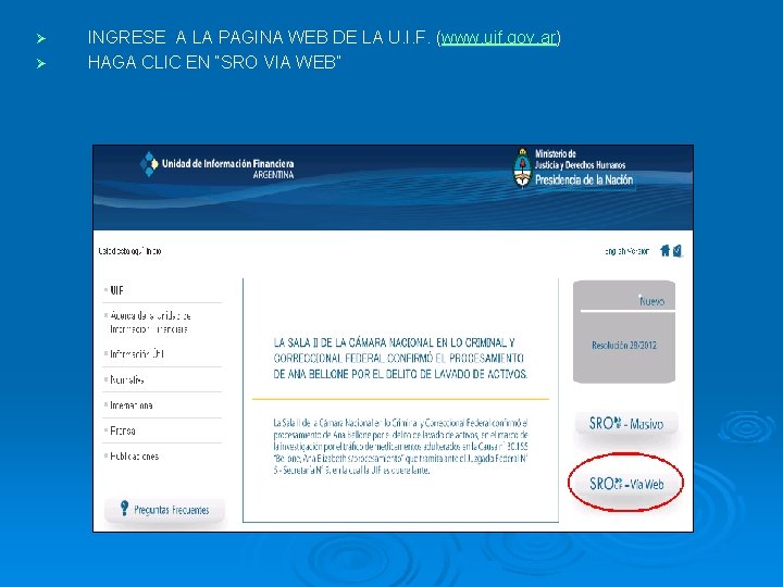 Ø Ø INGRESE A LA PAGINA WEB DE LA U. I. F. (www. uif.