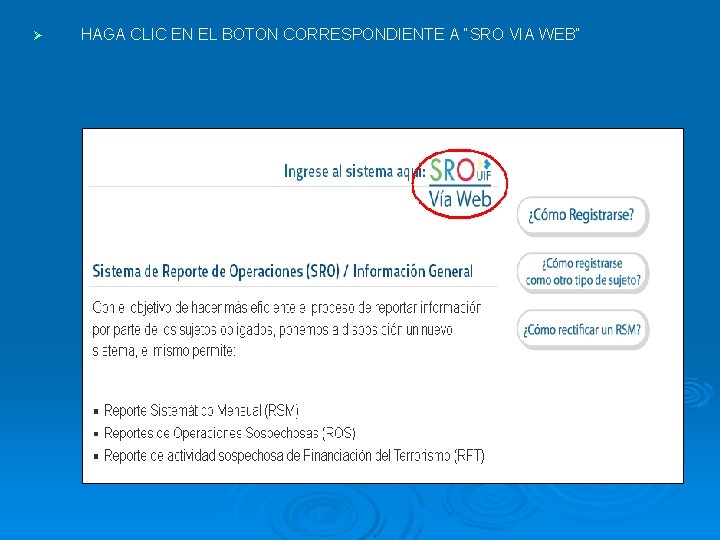 Ø HAGA CLIC EN EL BOTON CORRESPONDIENTE A “SRO VIA WEB” 