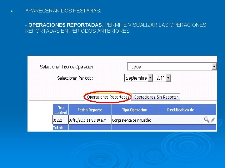 Ø APARECERAN DOS PESTAÑAS: - OPERACIONES REPORTADAS: PERMITE VISUALIZAR LAS OPERACIONES REPORTADAS EN PERIODOS