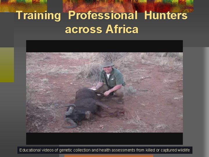 Training Professional Hunters across Africa Educational videos of genetic collection and health assessments from