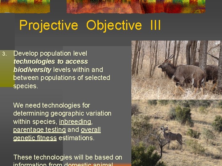 Projective Objective III 3. Develop population level technologies to access biodiversity levels within and