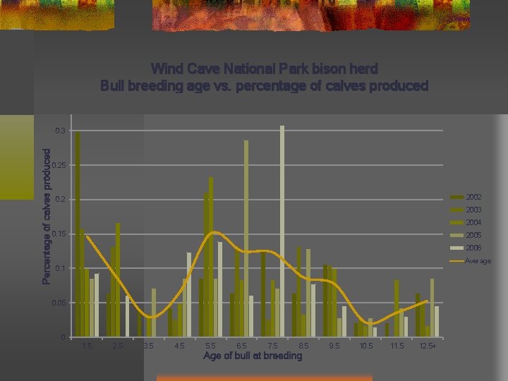 Wind Cave National Park bison herd Bull breeding age vs. percentage of calves produced