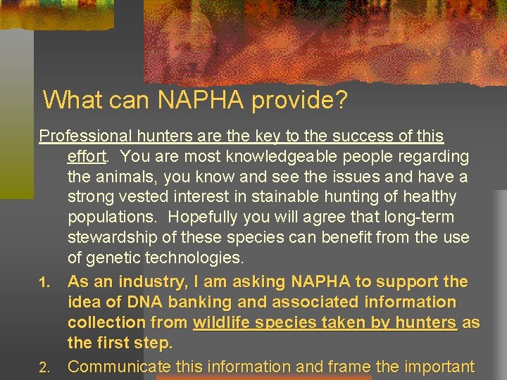 What can NAPHA provide? Professional hunters are the key to the success of this