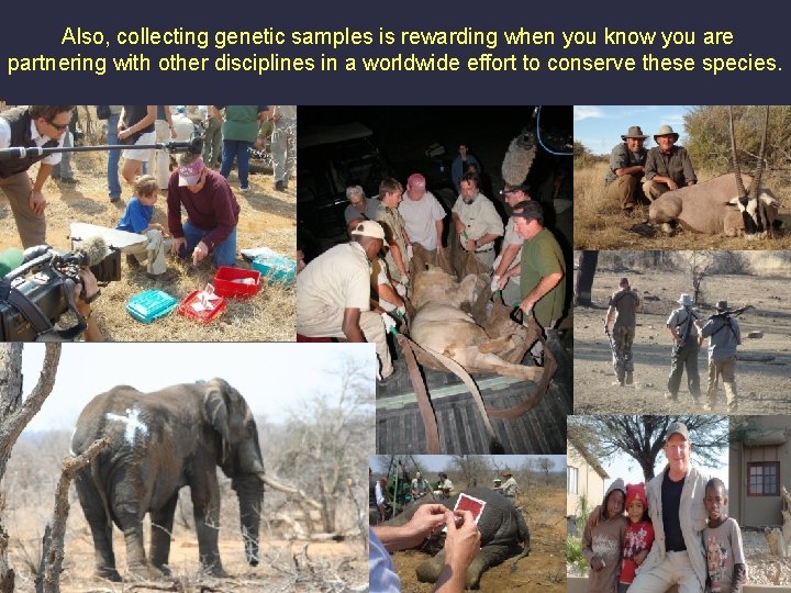 Also, collecting genetic samples is rewarding when you know you are partnering with other