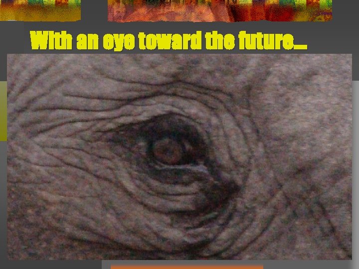 With an eye toward the future… 