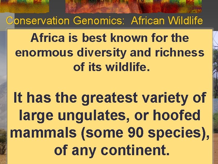 Conservation Genomics: African Wildlife Africa is best known for the enormous diversity and richness
