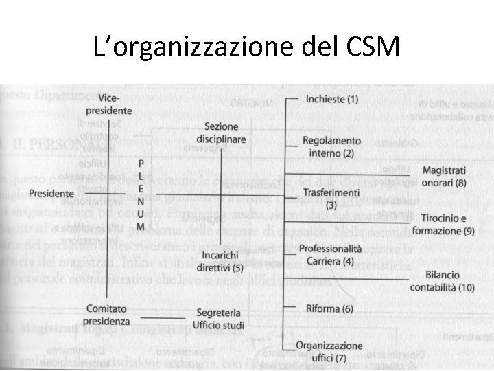 L’organizzazione del CSM 