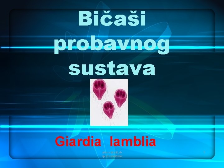 Bičaši probavnog sustava Giardia lamblia alen vukelić, dr /prof. savjetnik/ 1 