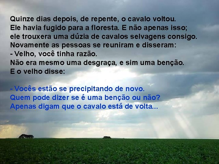 Quinze dias depois, de repente, o cavalo voltou. Ele havia fugido para a floresta.