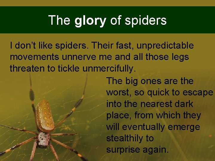 The glory of spiders I don’t like spiders. Their fast, unpredictable movements unnerve me