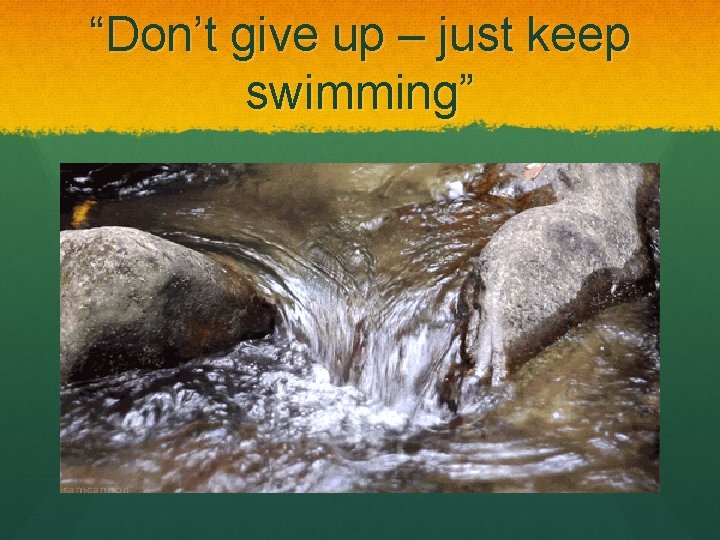 “Don’t give up – just keep swimming” 