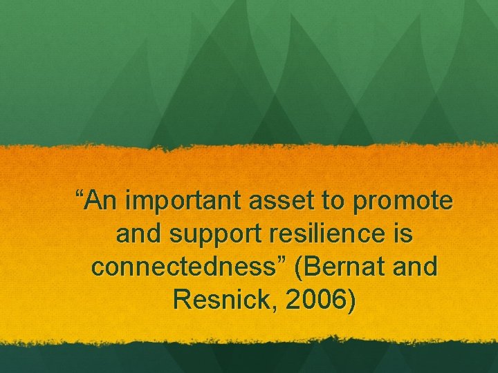 “An important asset to promote and support resilience is connectedness” (Bernat and Resnick, 2006)