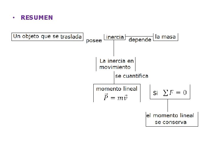  • RESUMEN 