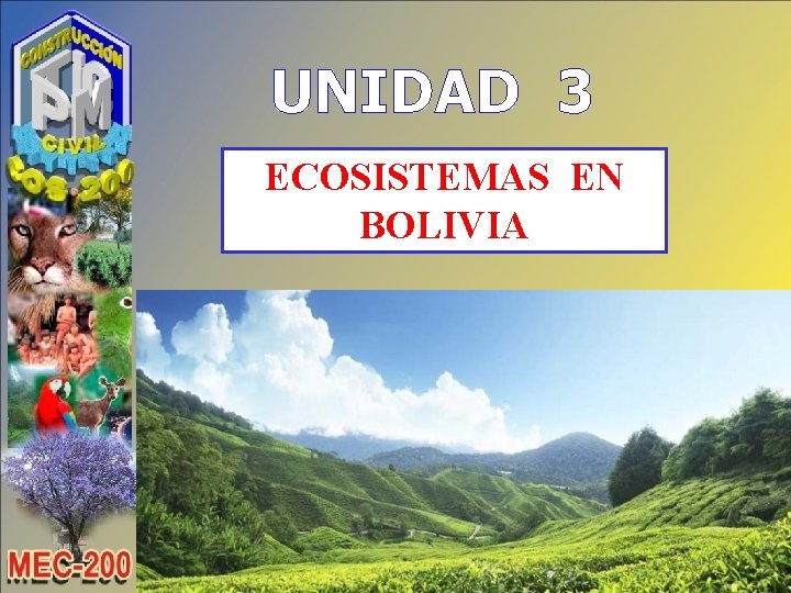 UNIDAD 3 ECOSISTEMAS EN BOLIVIA 