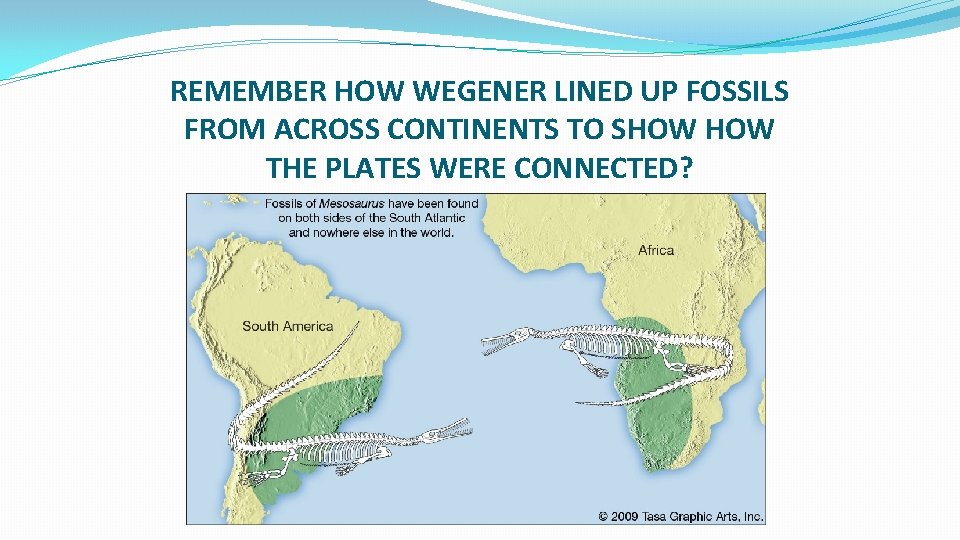 REMEMBER HOW WEGENER LINED UP FOSSILS FROM ACROSS CONTINENTS TO SHOW THE PLATES WERE REMEMBER HOW WEGENER LINED UP FOSSILS FROM ACROSS CONTINENTS TO SHOW THE PLATES WERE