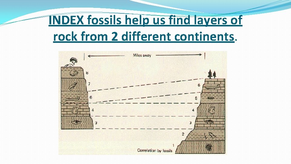 INDEX fossils help us find layers of rock from 2 different continents. INDEX fossils help us find layers of rock from 2 different continents.