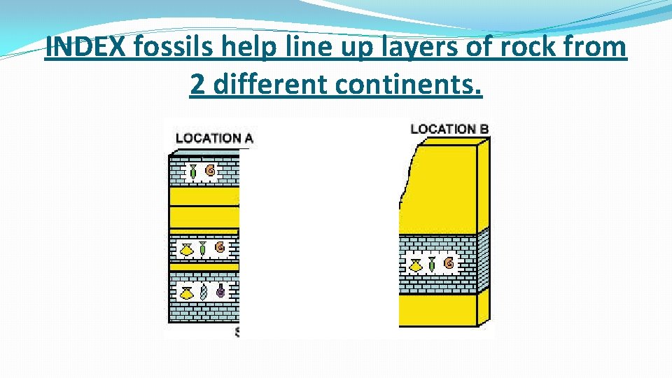 INDEX fossils help line up layers of rock from 2 different continents. INDEX fossils help line up layers of rock from 2 different continents.