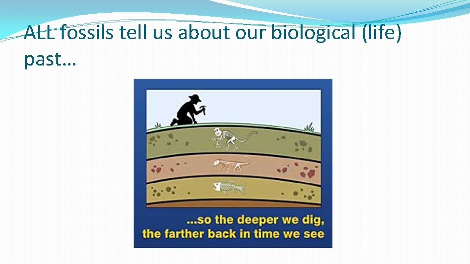 ALL fossils tell us about our biological (life) past… ALL fossils tell us about our biological (life) past…
